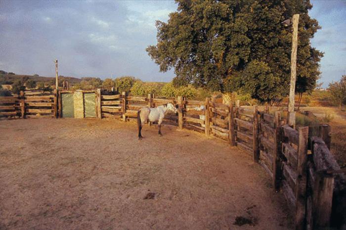Casa Rural Finca Valvellidos Jaraiz de la Vera Buitenkant foto